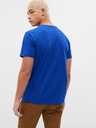 GAP T-shirt