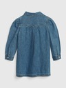 GAP Kids Dress