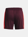 Under Armour Kids Shorts