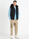 Celio Fubianco Vest