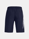 Under Armour UA Woven Graphic Kids Shorts