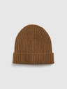 GAP Beanie