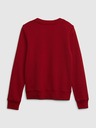 GAP Kids Sweatshirt