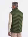 Ombre Clothing Vest