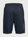 Under Armour UA Tech Graphic Short pants