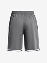 Under Armour UA Perimeter Short pants