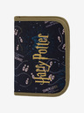 BAAGL  Harry Potter Case