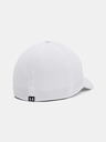 Under Armour Storm Driver Cap