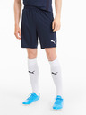 Puma Team Goal Short pants