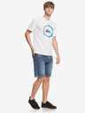 Quiksilver Short pants