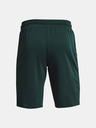 Under Armour Project Rock Terry Iron Short pants