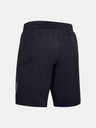 Under Armour Project Rock Short pants