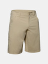 Under Armour UA Fish Hunter Short pants