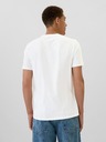 GAP T-shirt