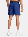 Under Armour UA Vanish Woven 6in Short pants