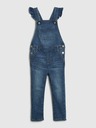 GAP Washwell Children's overalls