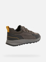 Geox Terrestre Sneakers