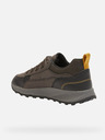 Geox Terrestre Sneakers