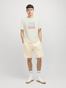 Jack & Jones Aruba T-shirt