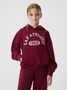 GAP Kids Sweatshirt