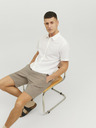 Jack & Jones Dave Short pants