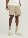 Jack & Jones Gordon Short pants