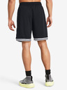 Under Armour UA Perimeter Short pants