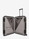 Titan Litron Frame L Champagne Suitcase