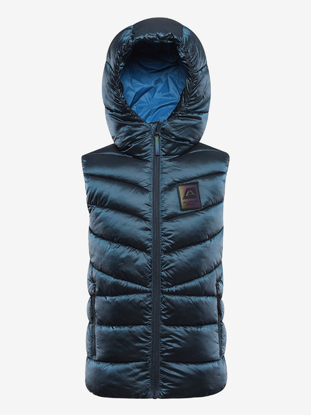 ALPINE PRO Edso Kids Vest