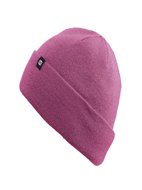 Horsefeathers Beanie