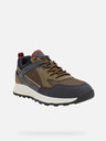 Geox Terrestre Sneakers