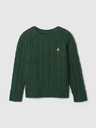 GAP Kids Sweater