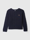 GAP Kids Sweater