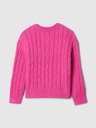 GAP Kids Sweater