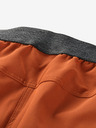 ALPINE PRO Zamb Short pants