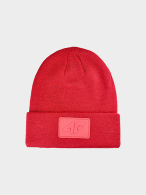 4F Beanie