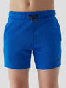 4F Kids Shorts