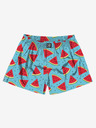 Horsefeathers Boxer shorts