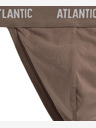 Atlantic Briefs