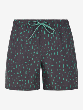 Protest PRTGROM Short pants